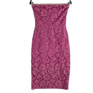 nwot ALEXIS Dress XS Pink&Grey Lace Strapless Stretch Lined Zip Knee